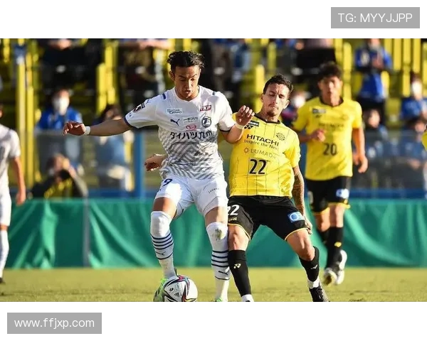 水户六连胜强势攀升至第三 大宫松鼠同积35分暂列第二